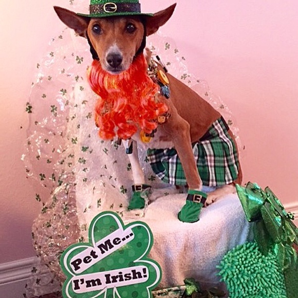 NO clowning around.... - Picture 12 of 16